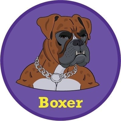 Boxer