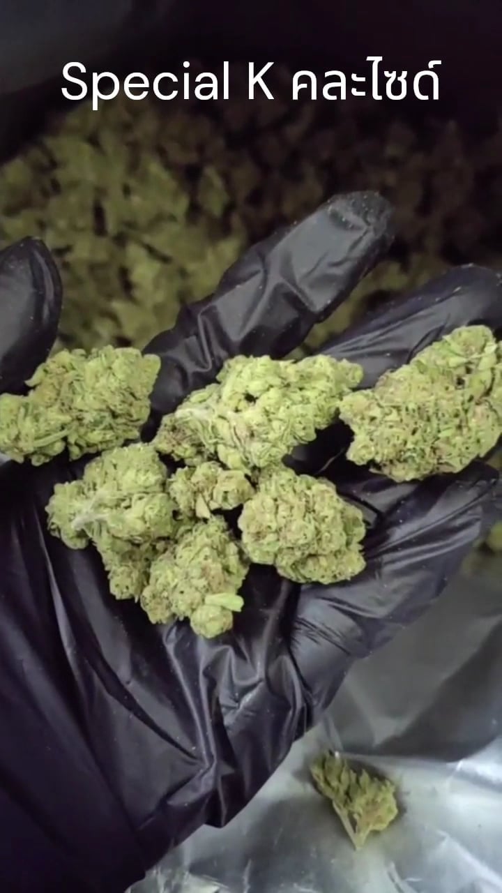 Lords Of Weed