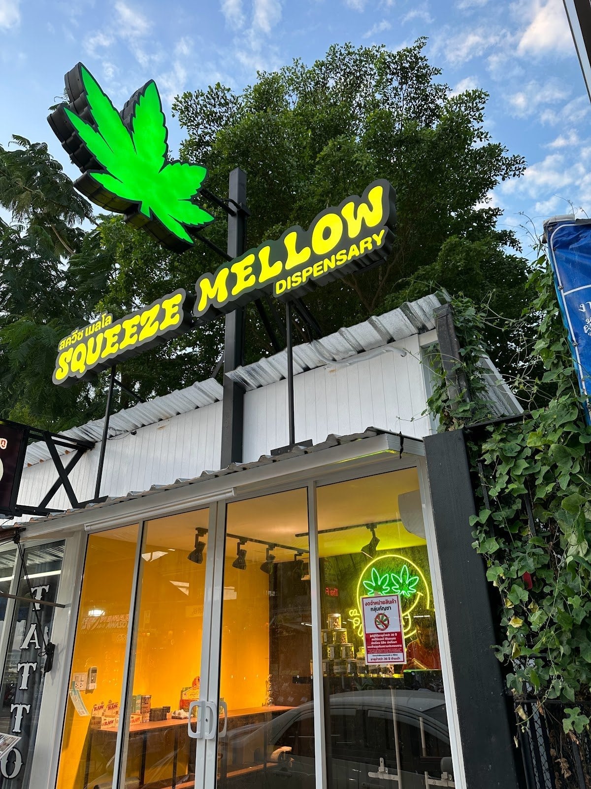 SqueezeMellow