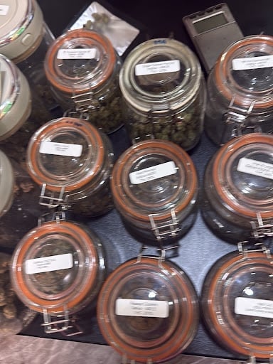Adam's Weed