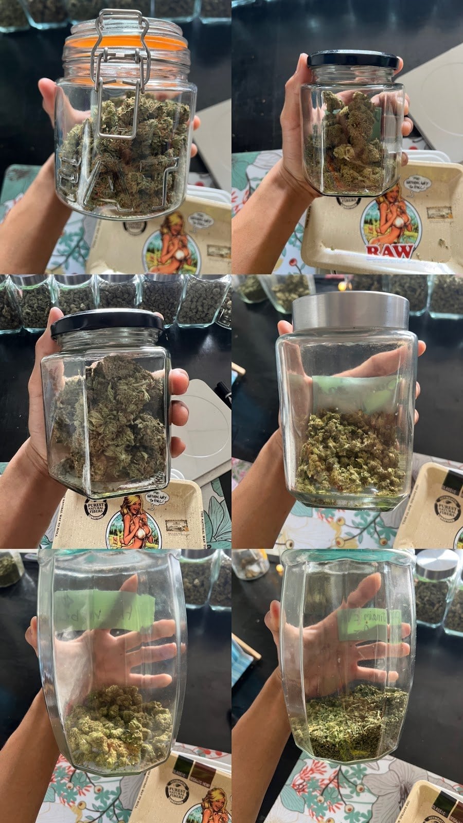 Holyweed Buriram
