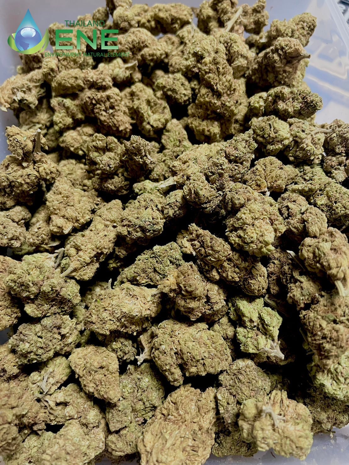 ENE THAI-Hemp
