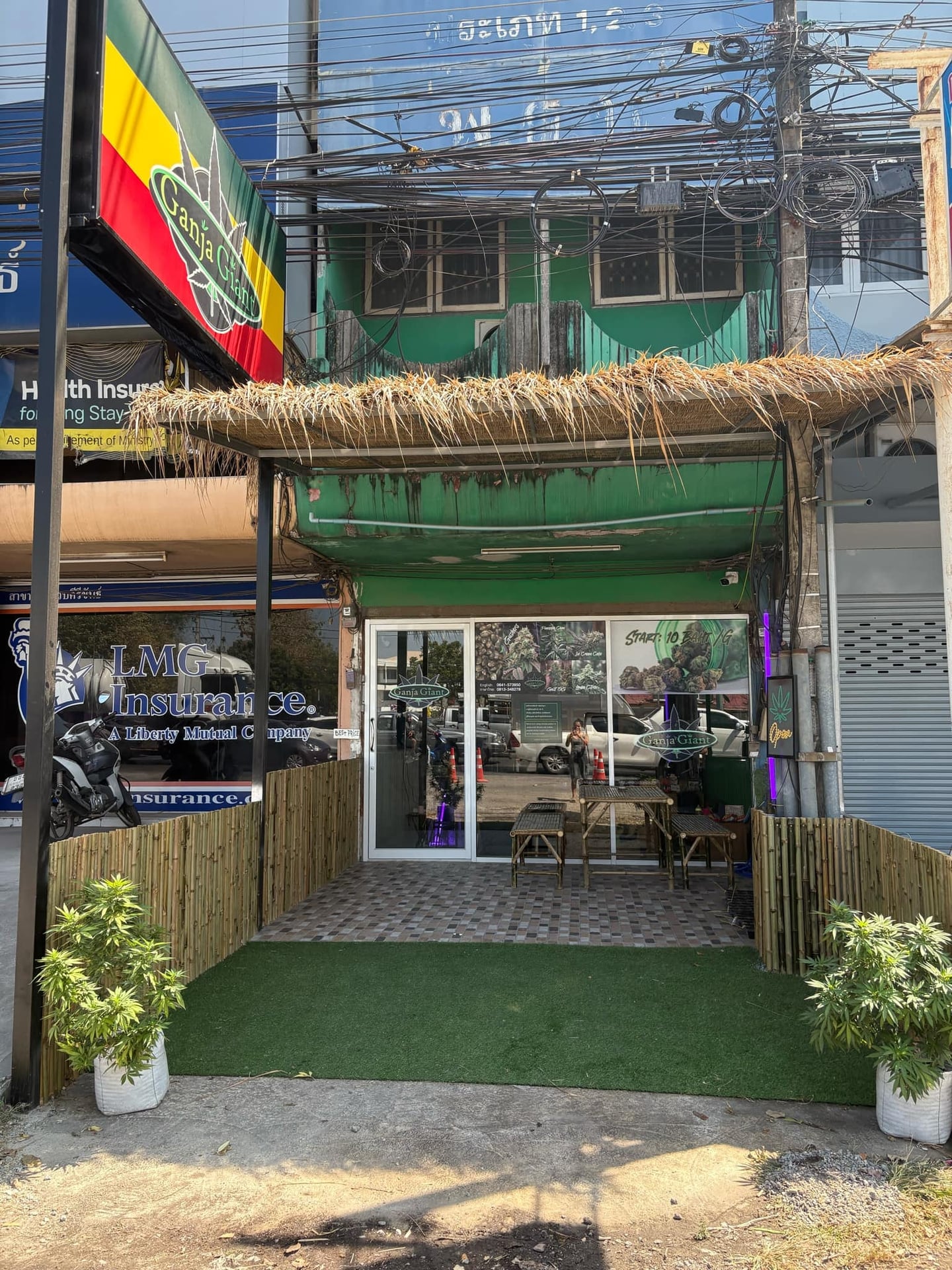 Ganja Giant 2, Pranburi