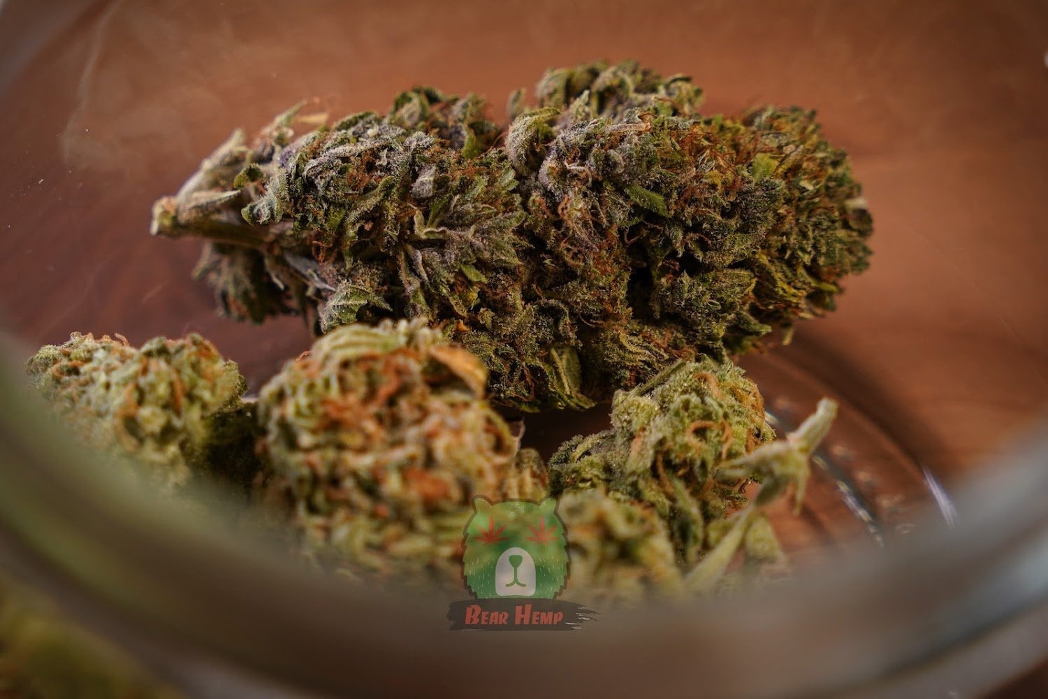 Bear Hemp