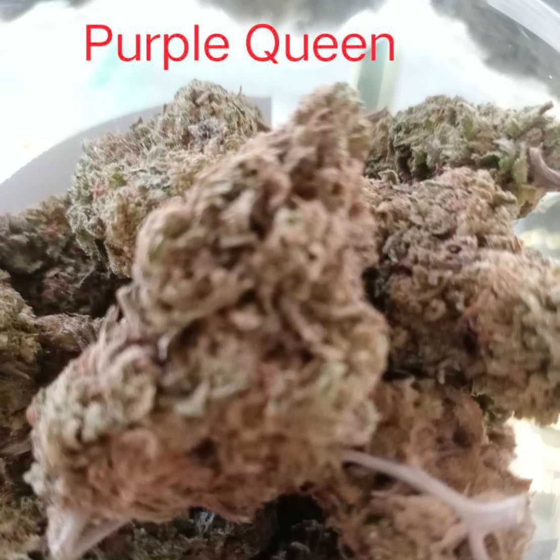 Cannabis Cafe