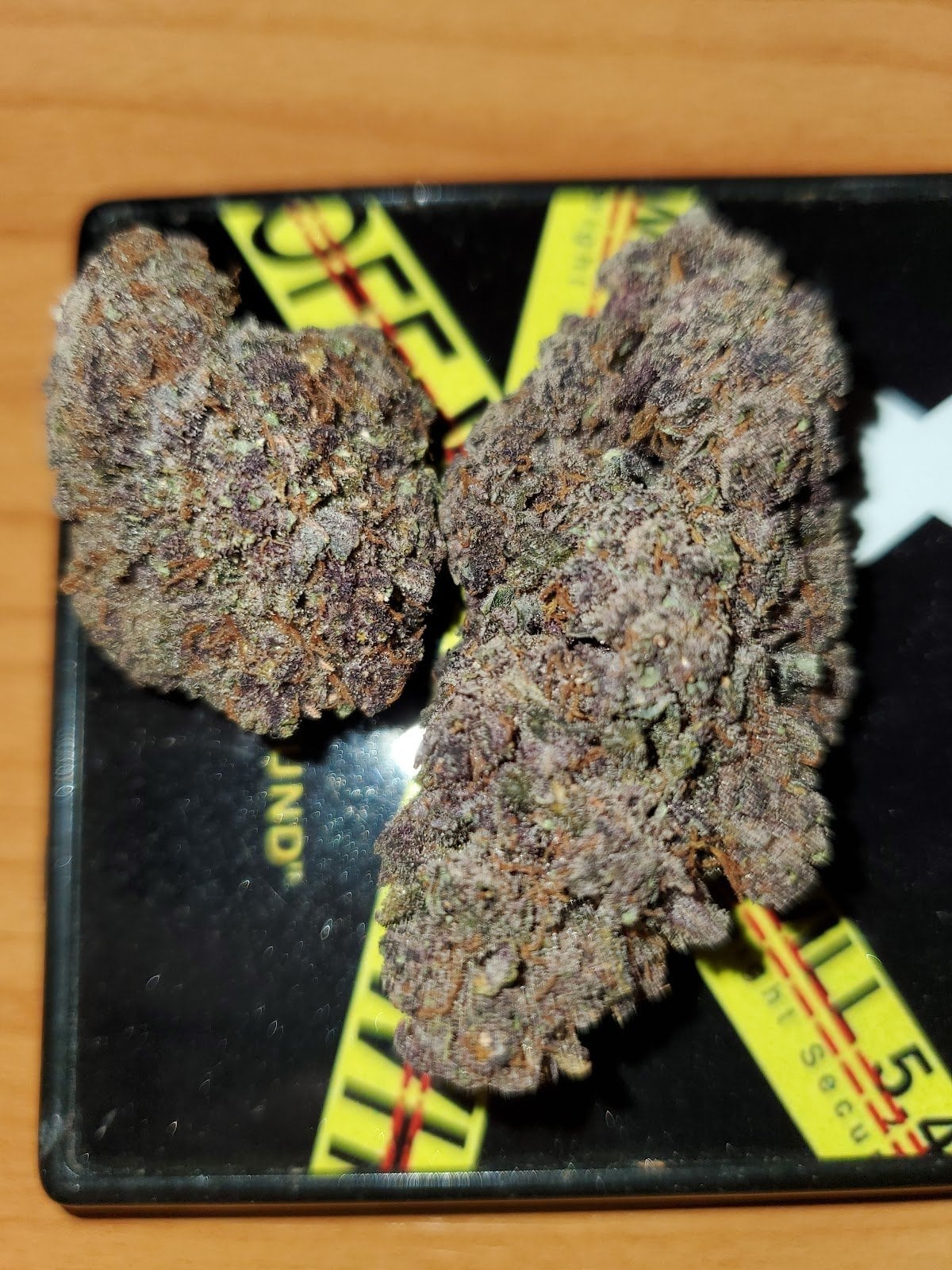 Kingdom Kannabis