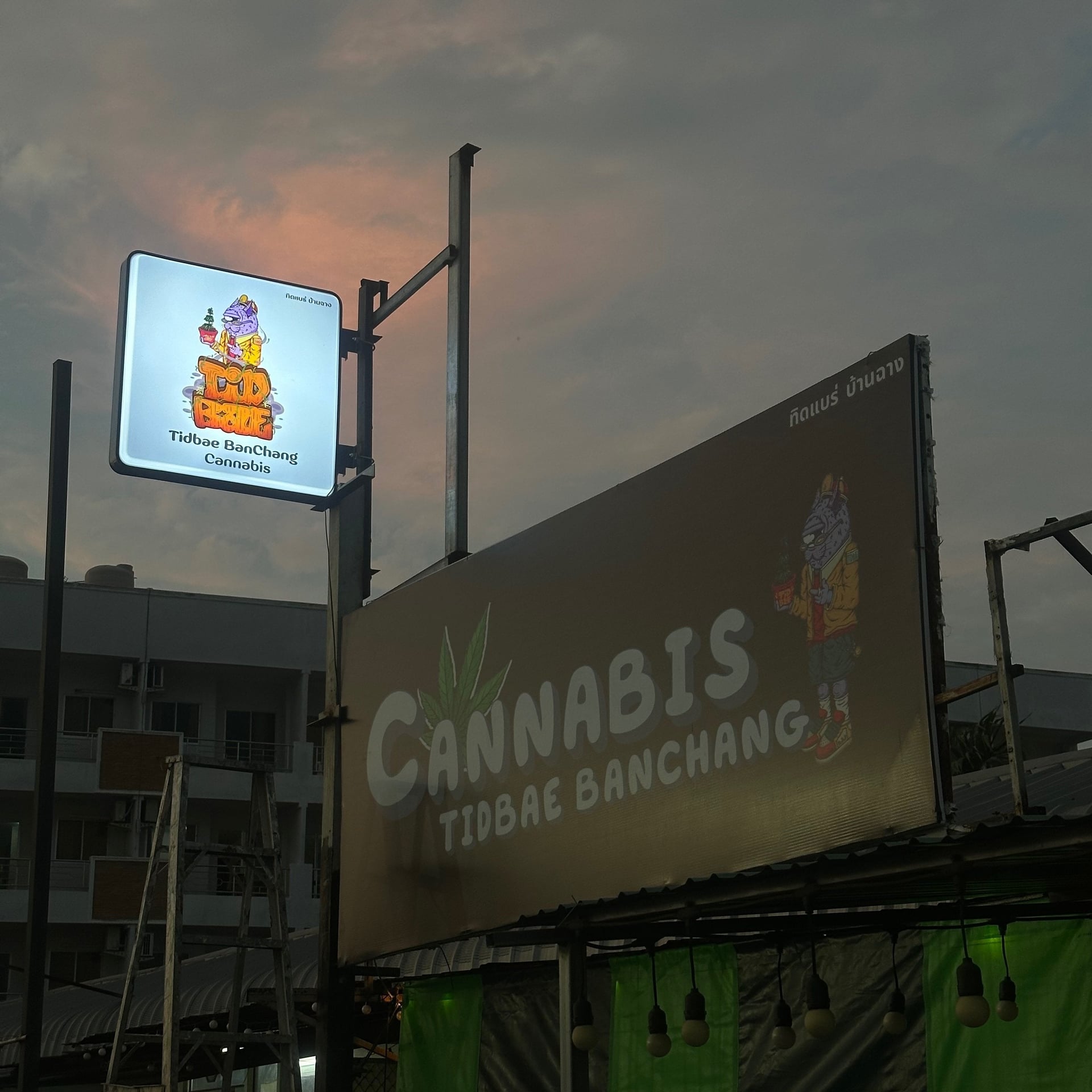 Tidbae Banchang Cannabis