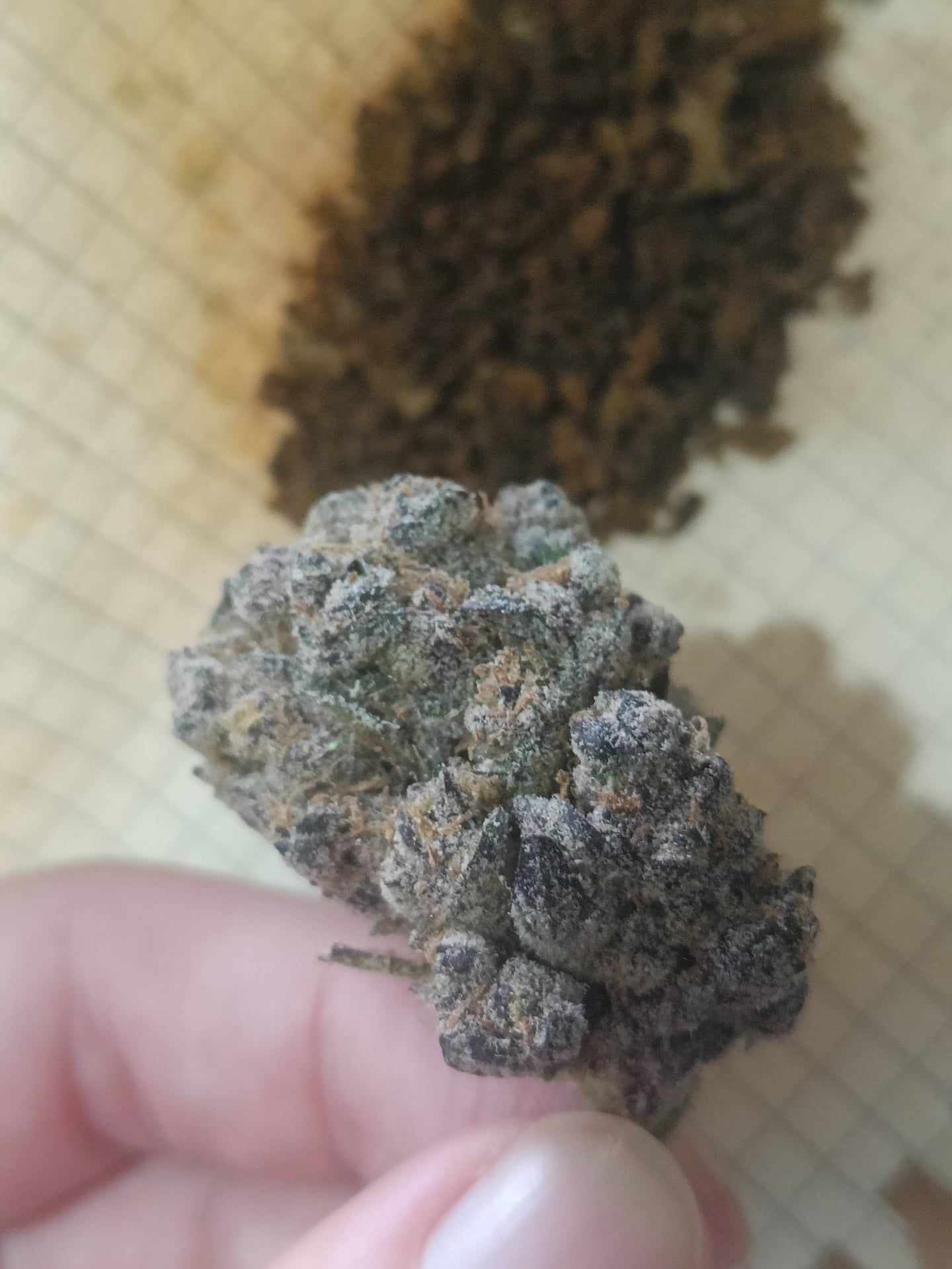 Dc Cannabis - Weed - Marijuana