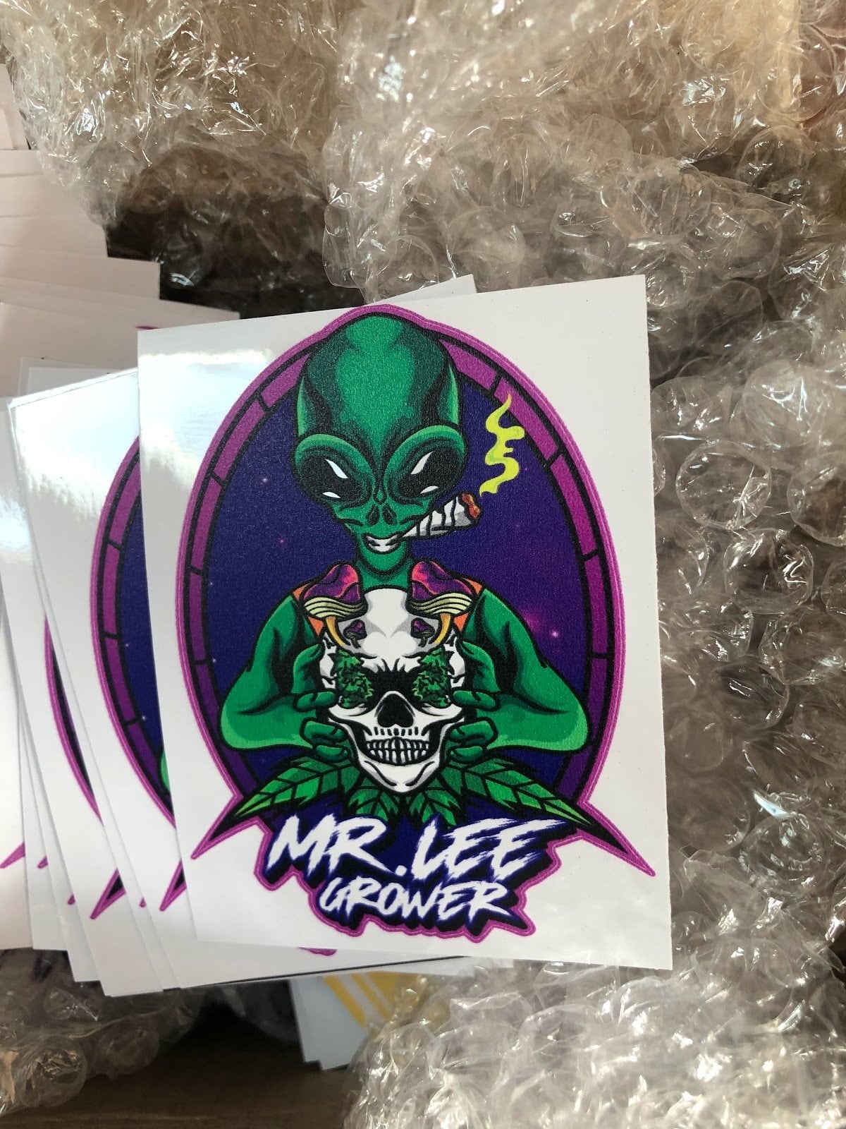 Mr.LeeGrower