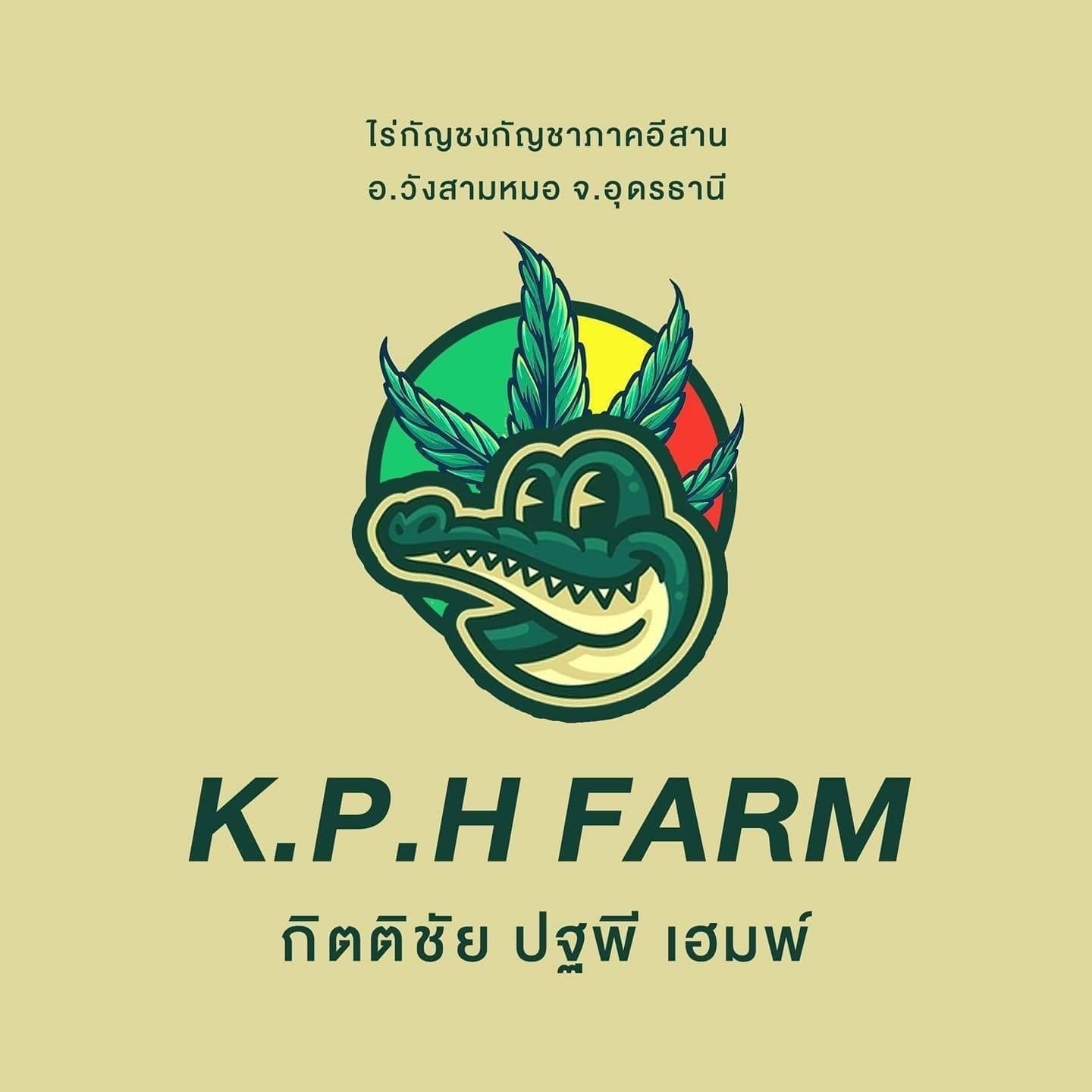 Cannabis Social Club Kph Farm in Udon Thani logo