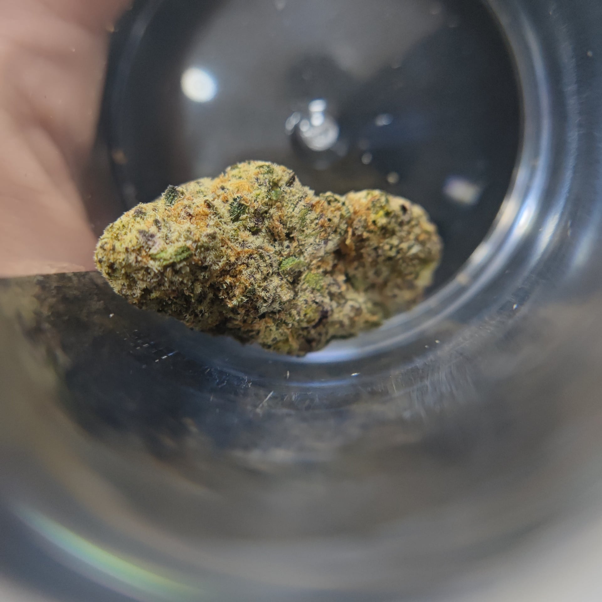 Cannabeach