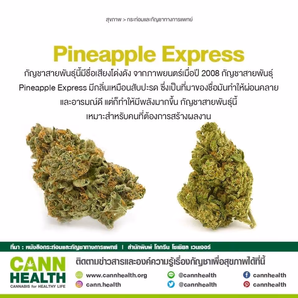 Каннабис-социальный клуб 87 Cannabis логотип