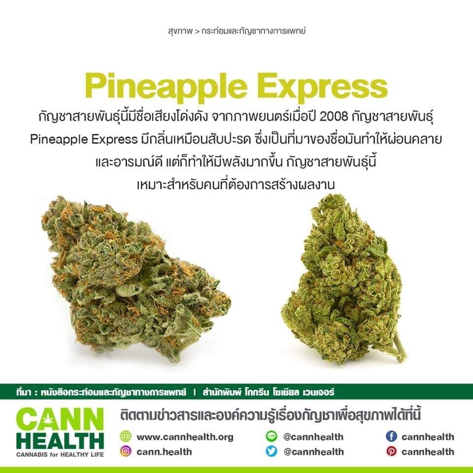 87 Cannabis logo