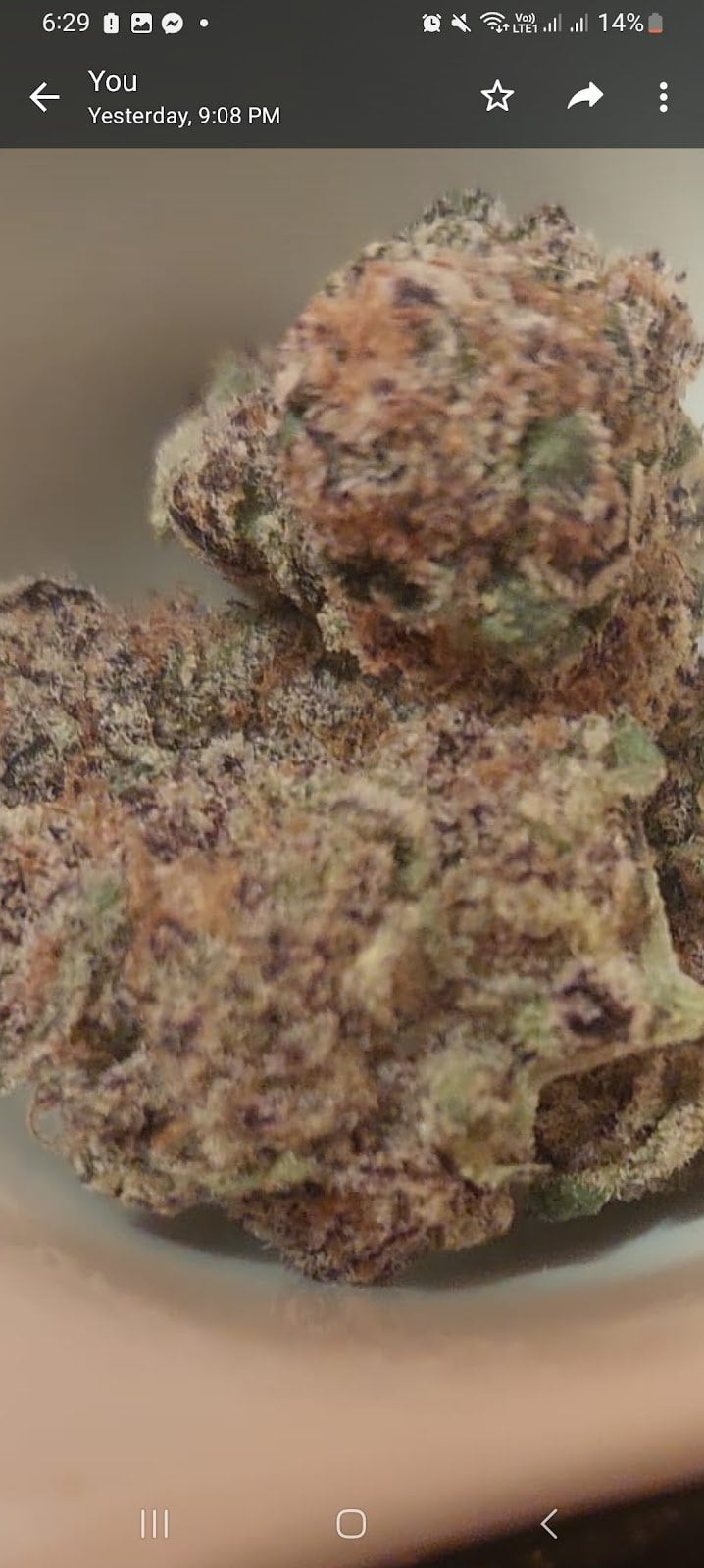Happy Cannabis Delivery - Weed Coffeeshop