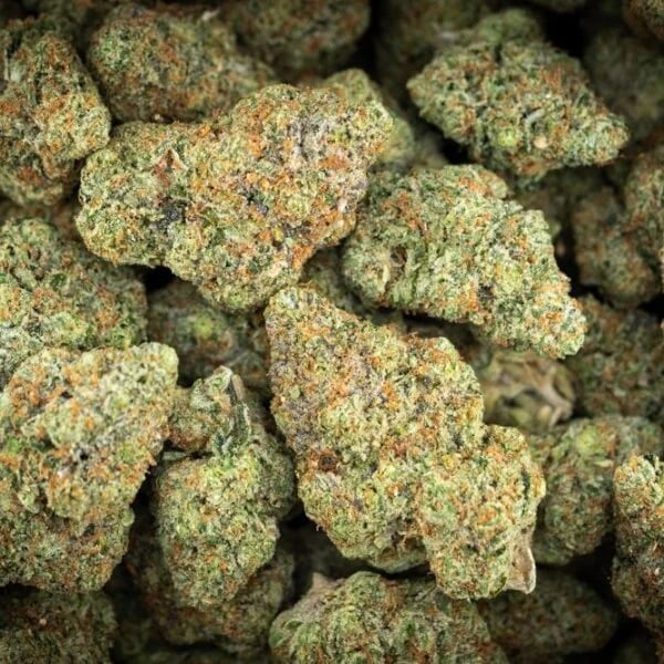 Cannabear