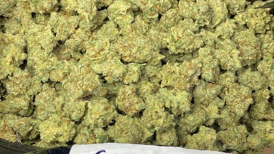 Weeds