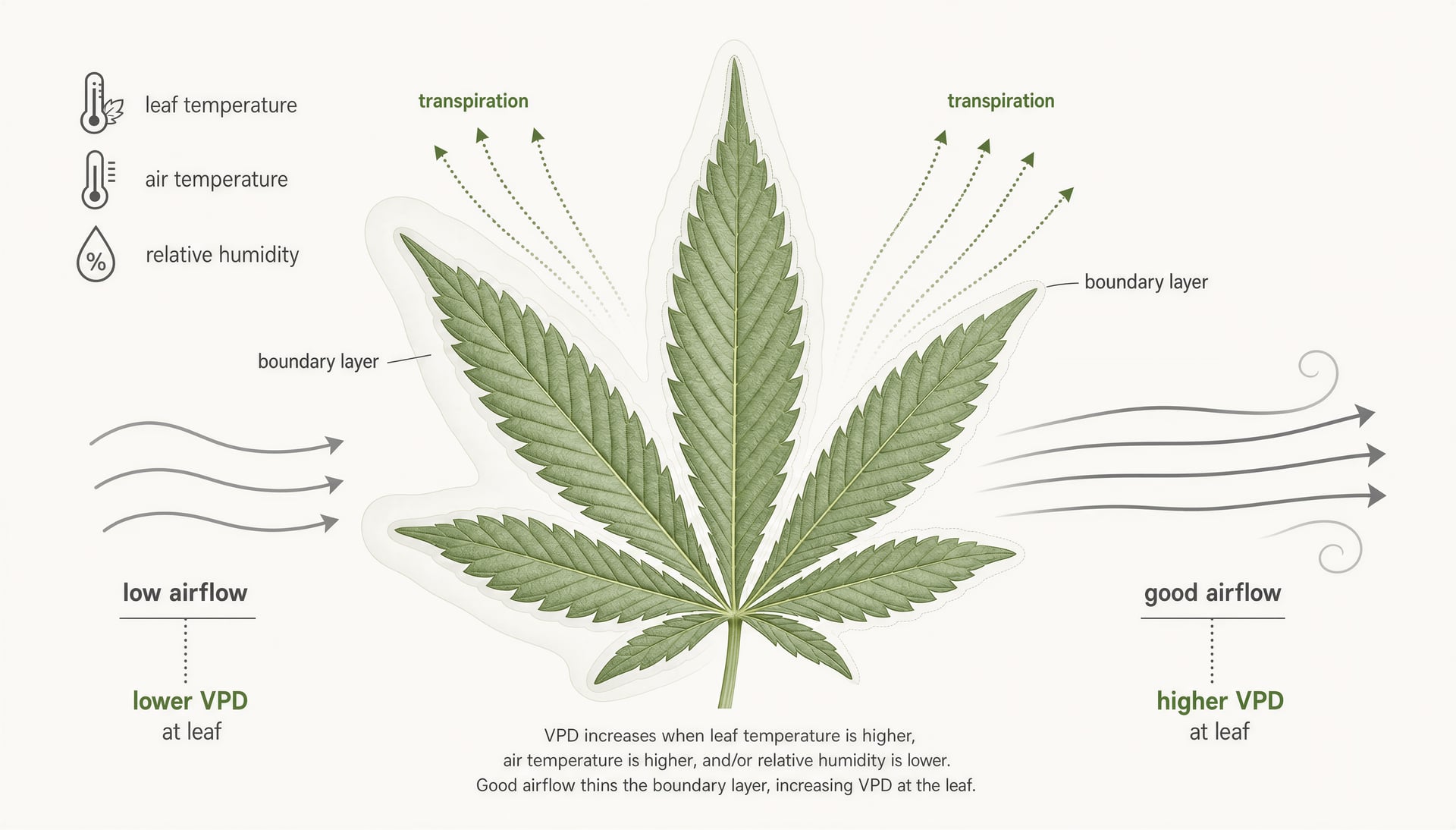 زراعة Cannabis في الداخل: دليل علمي للزراعة