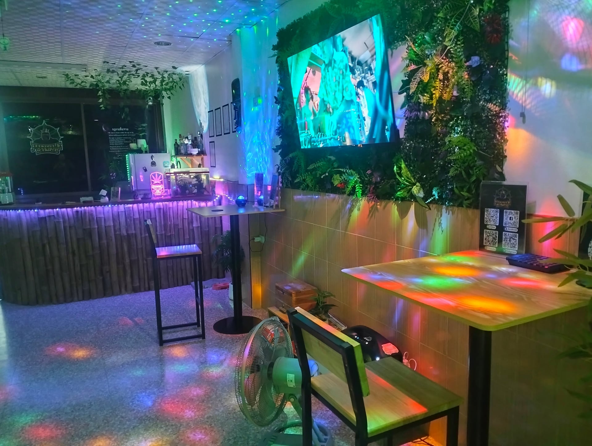 Jungle Kings Cannabis Bar Weed And Snus