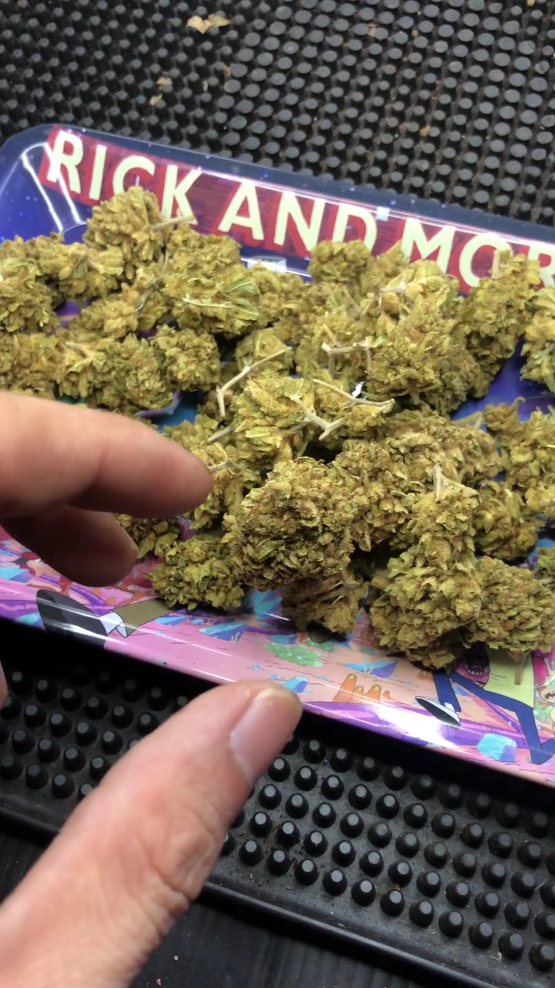Mary Jane CNX