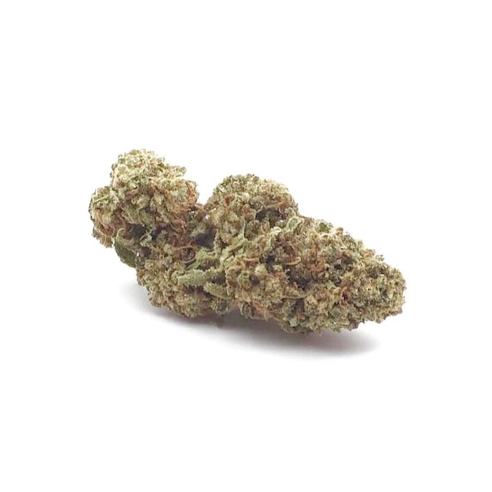Cannasaur logo