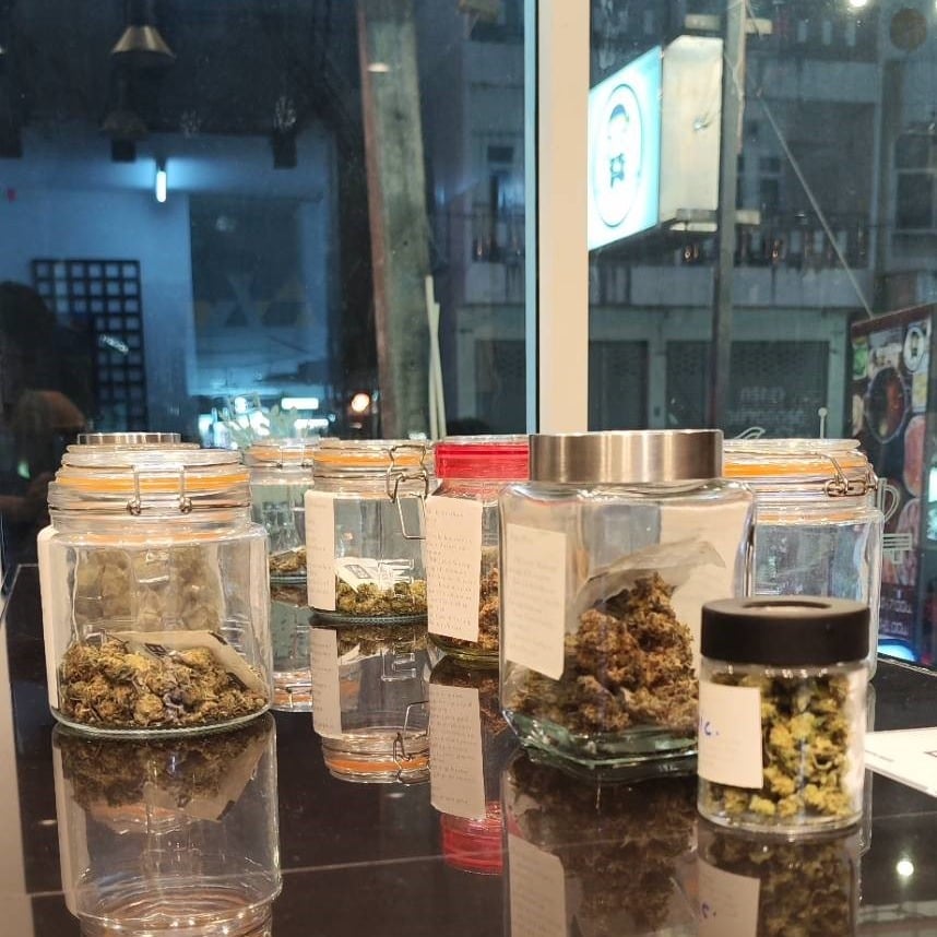 GreenWorld Cannabis Khonkaen