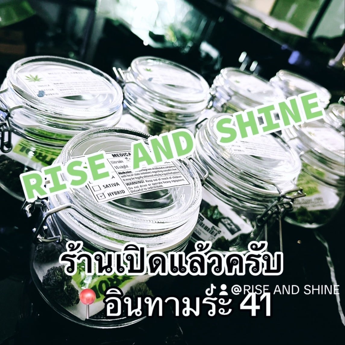 Rise And Shine