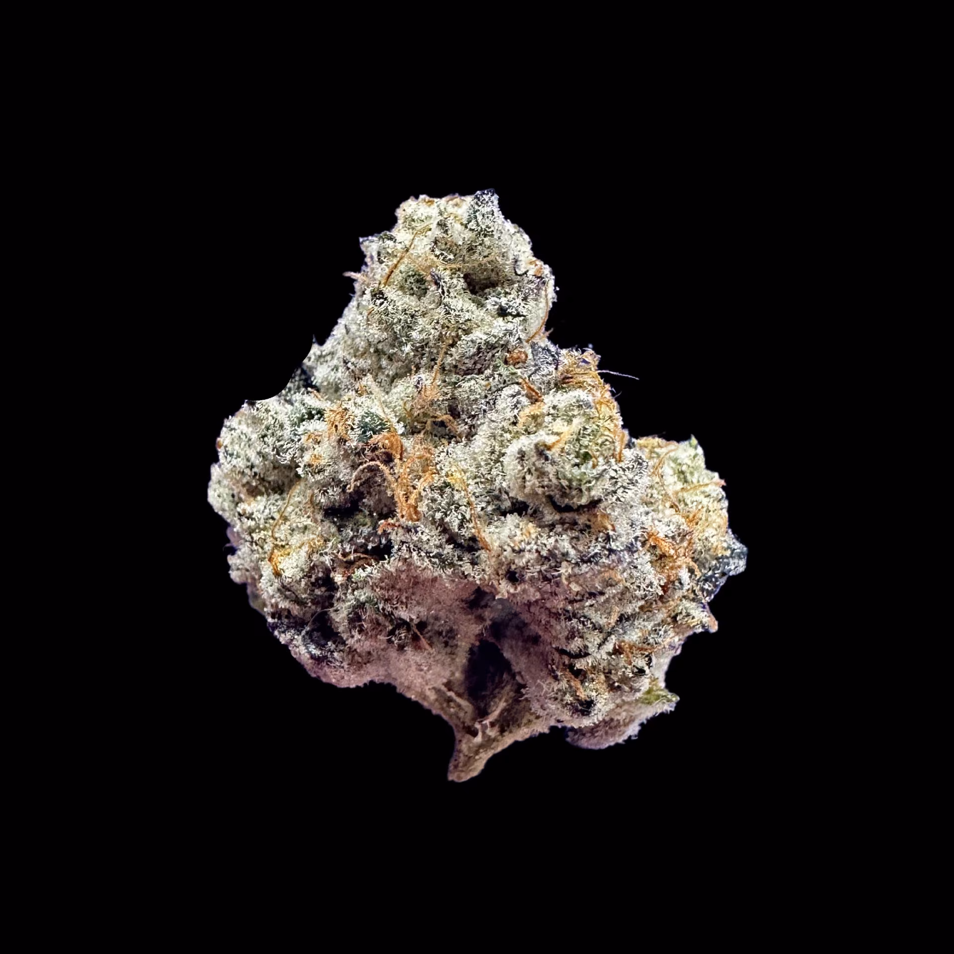 Wonderfarm Cannabis