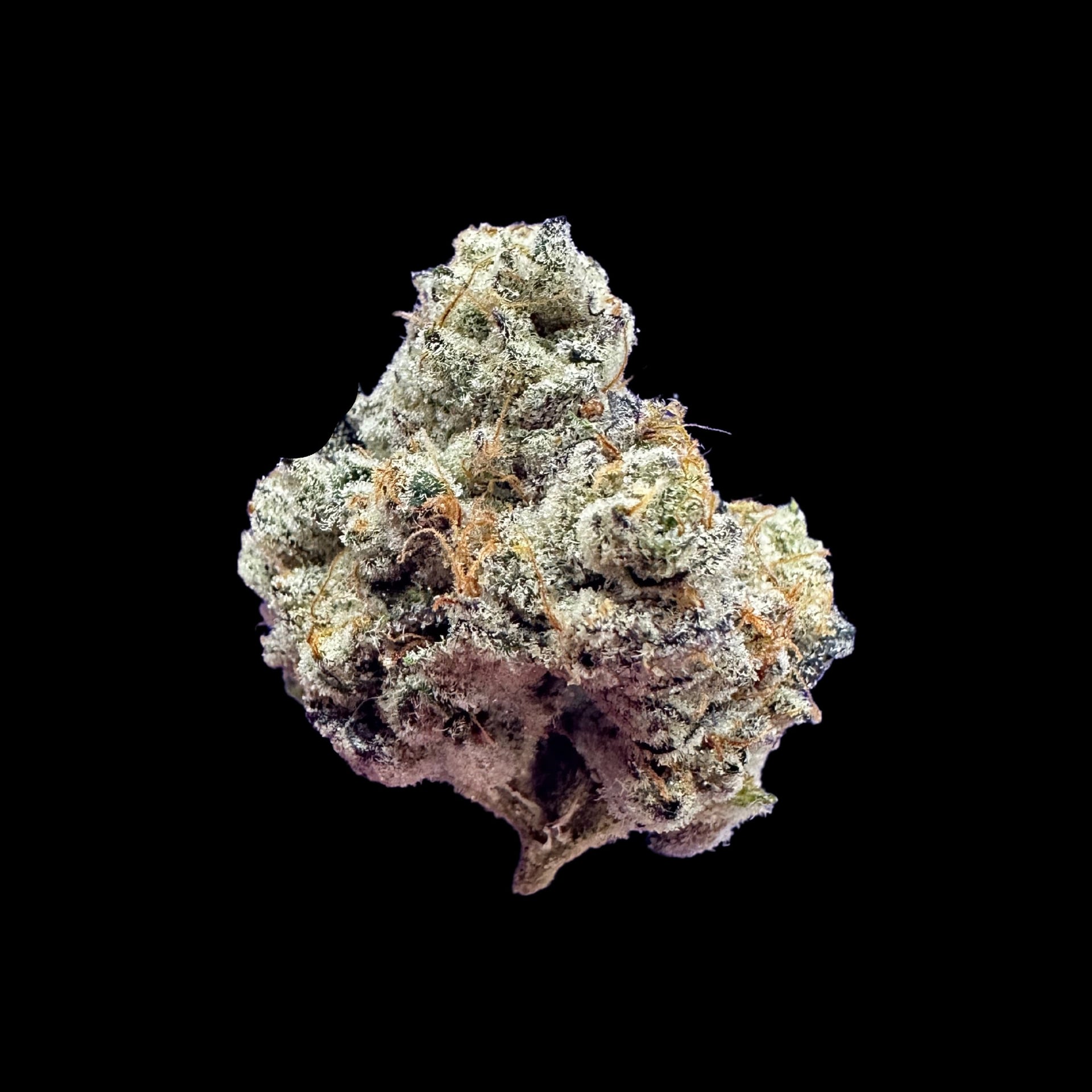 Wonderfarm Cannabis logo