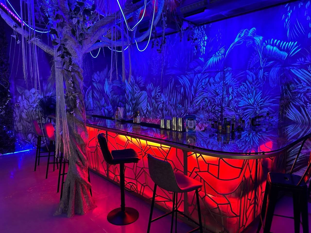 LATOTAL - Concept Bar