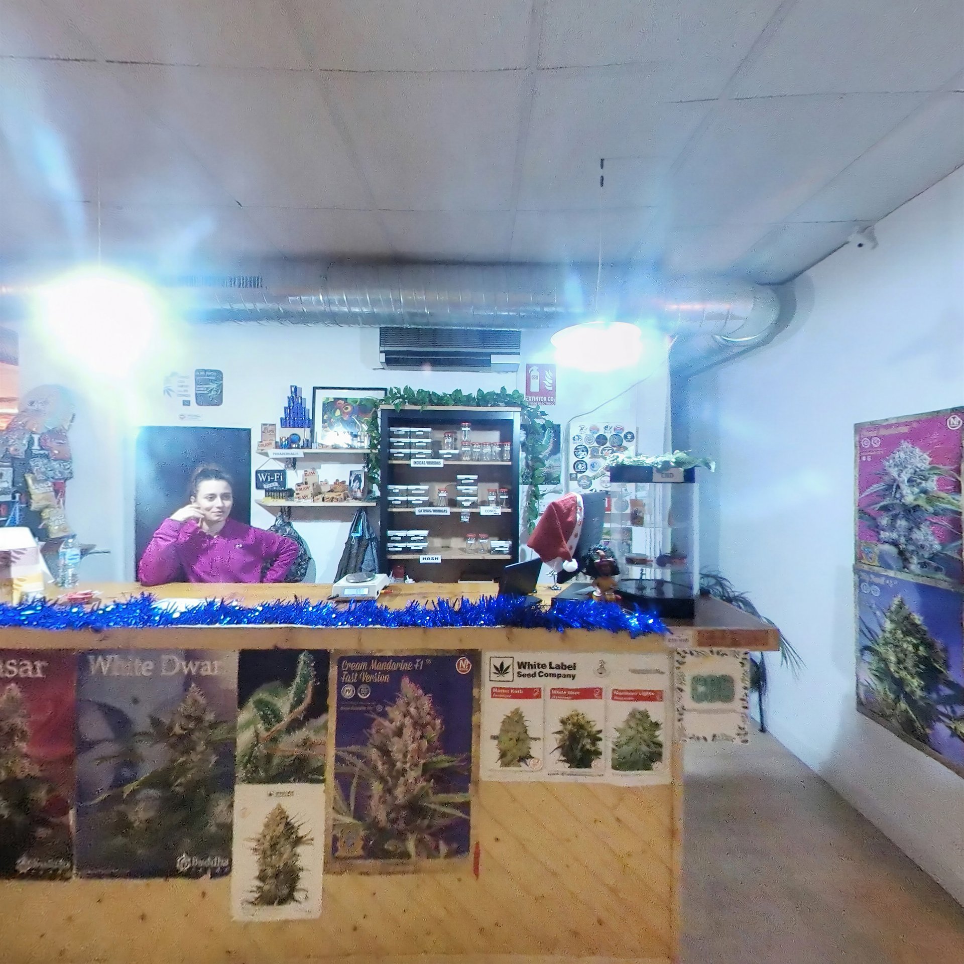 Asociación Gallery Alameda