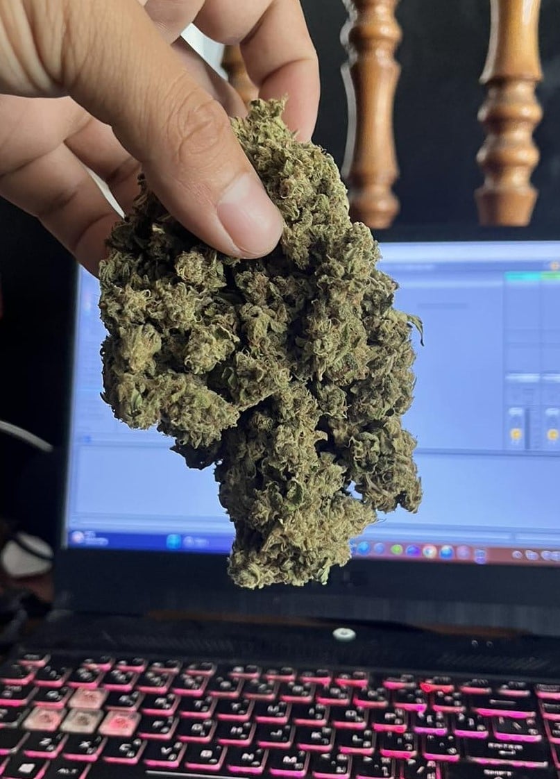 The Best Area Cannabis