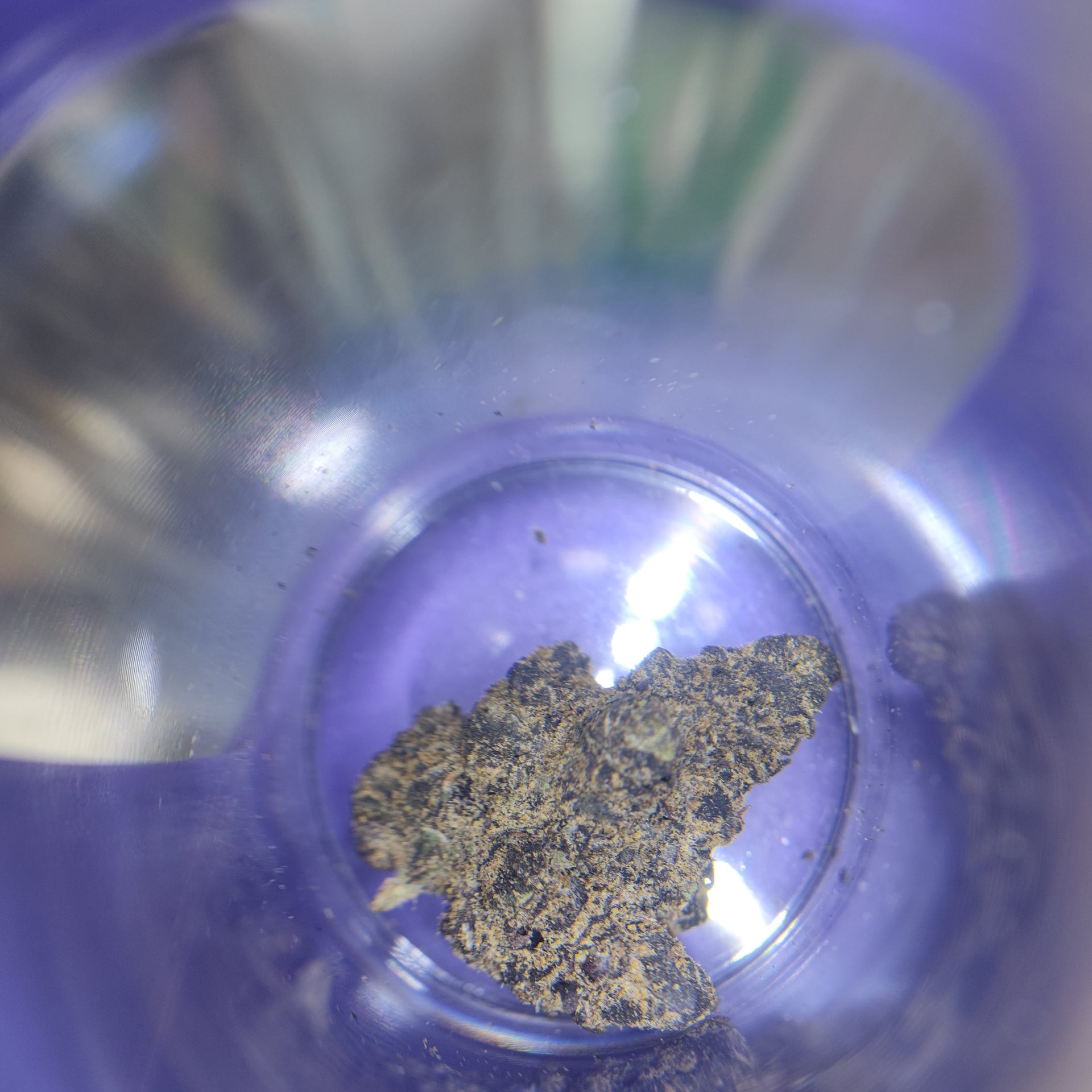 Cannabeach
