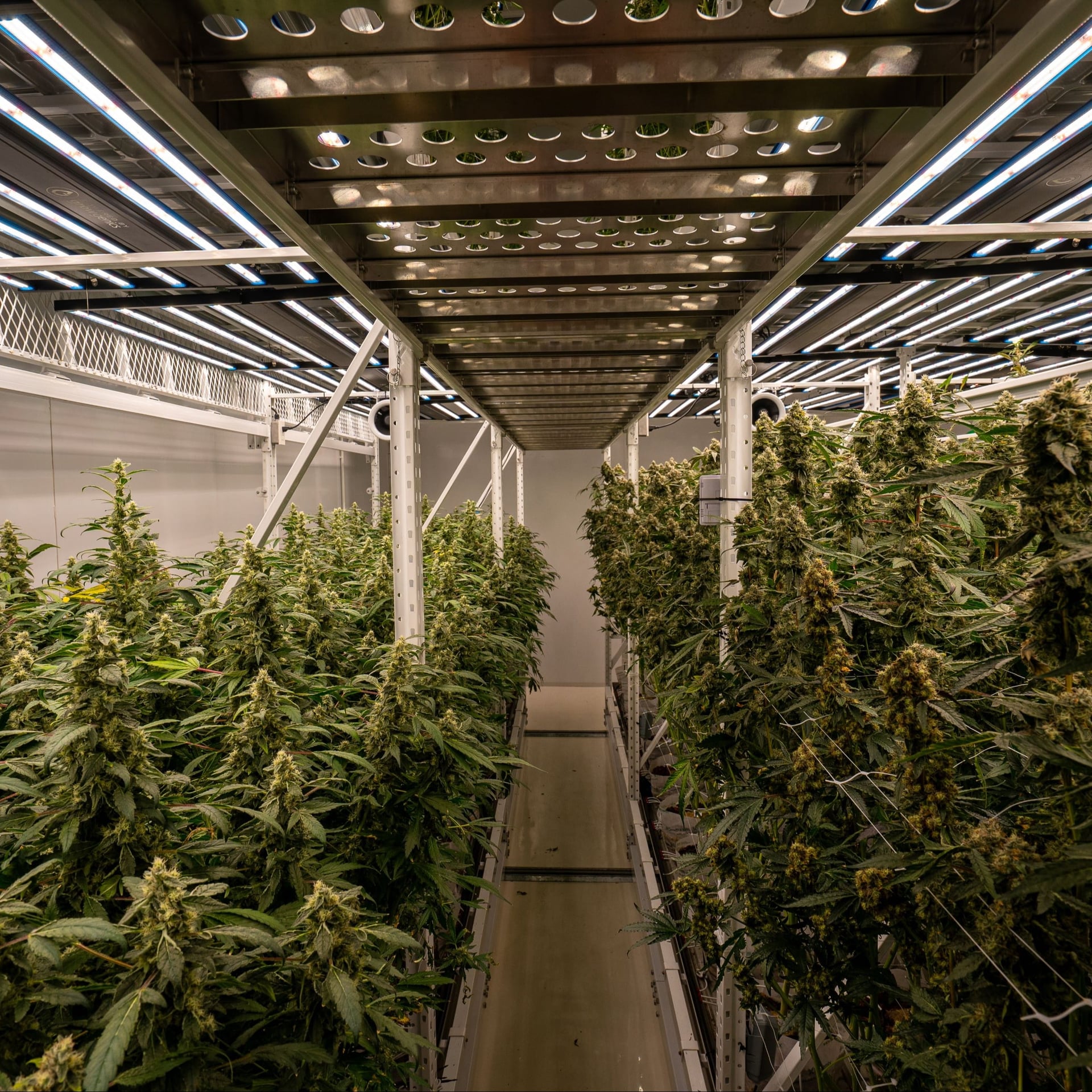 TBM Farm