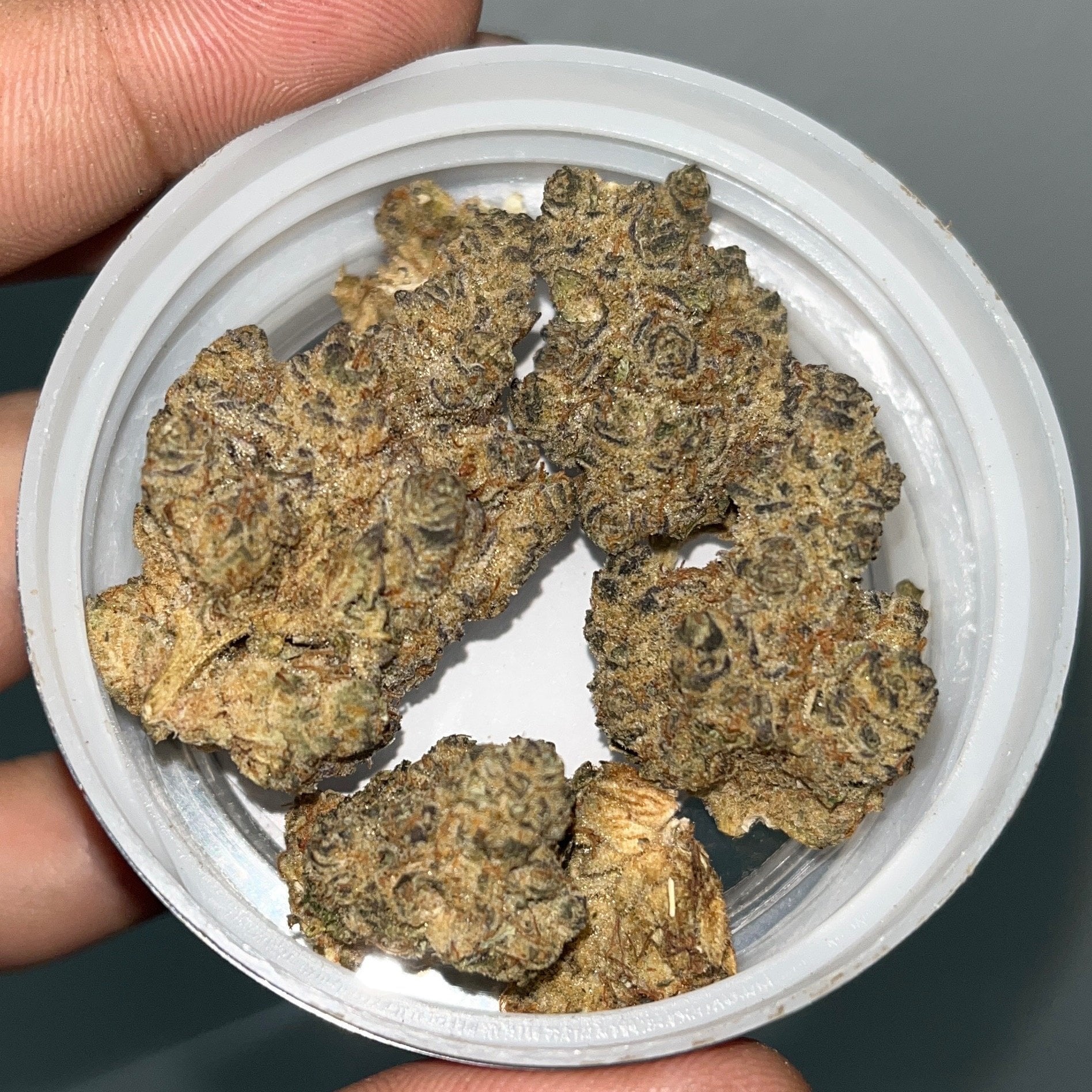 Cannabis