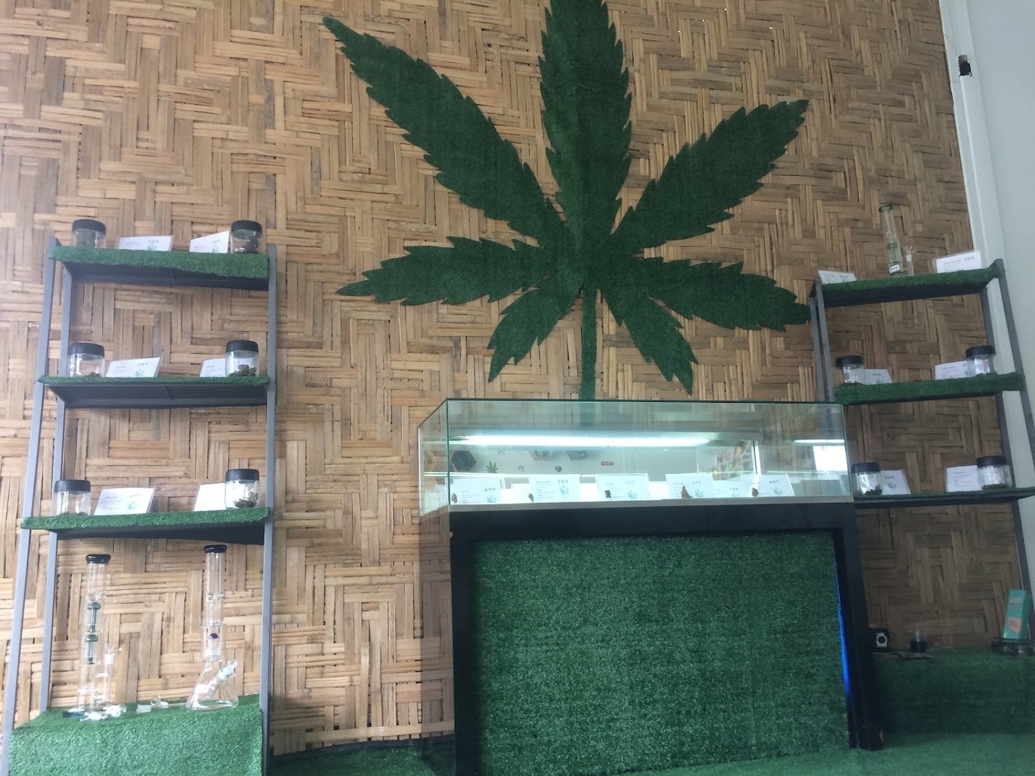 Mary Jane