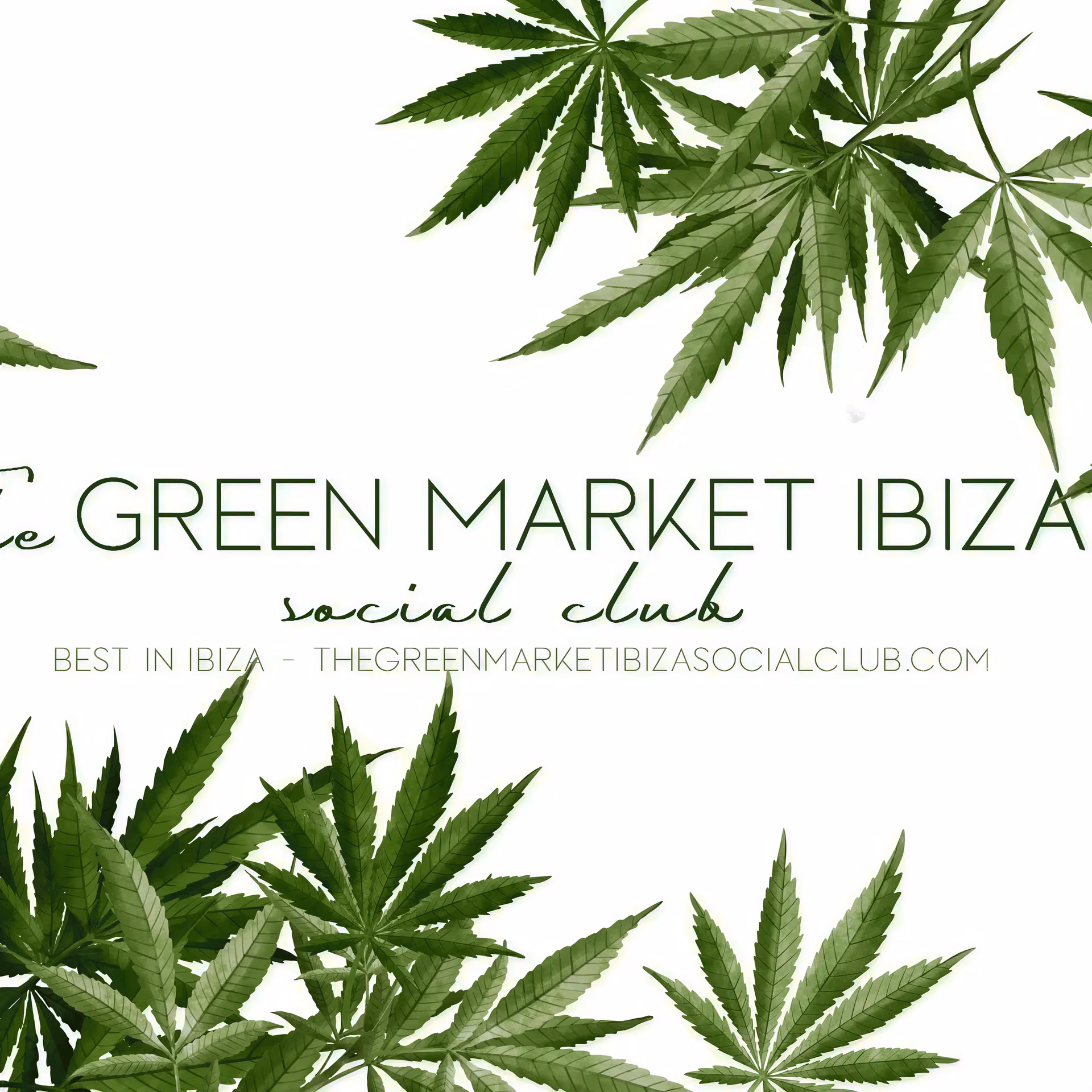 The Green Market