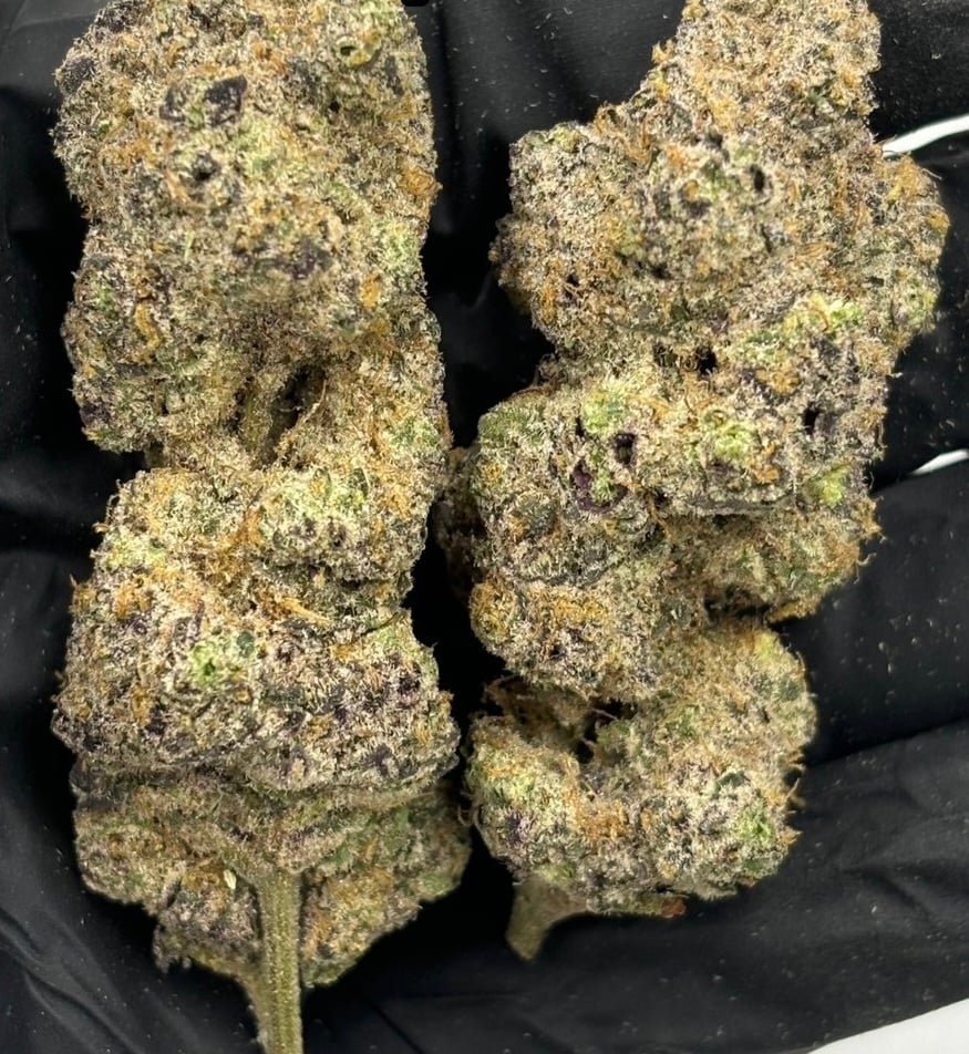 Konguneng.undergrow420