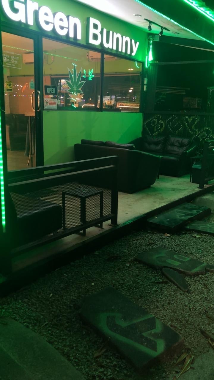 Green Bunny