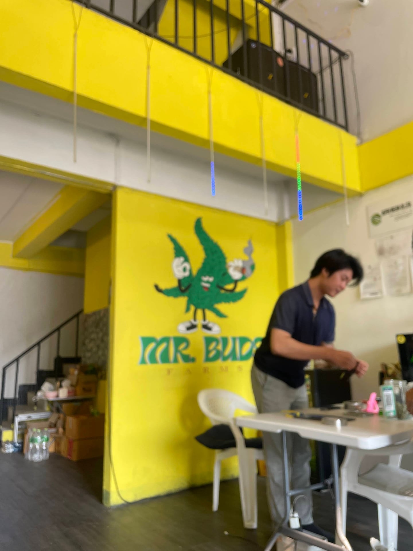Mr Buds Farms