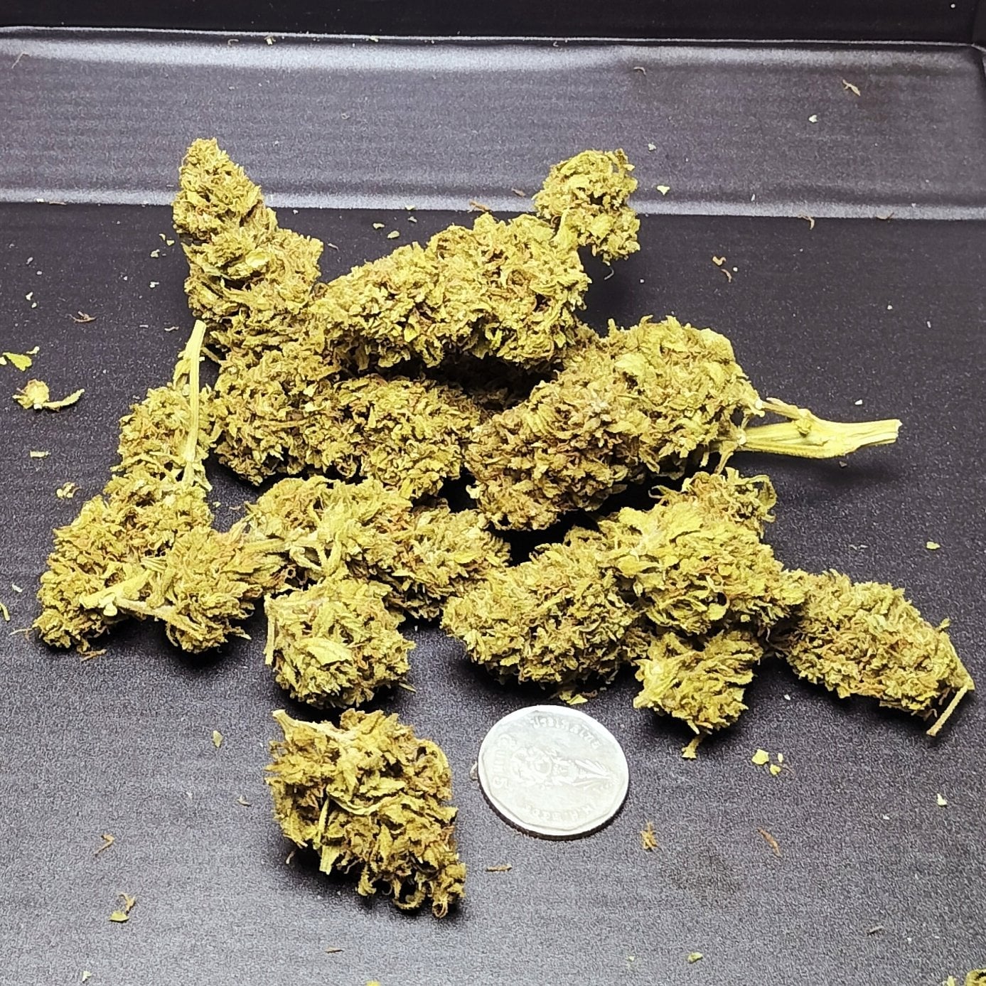 Jonecannabis