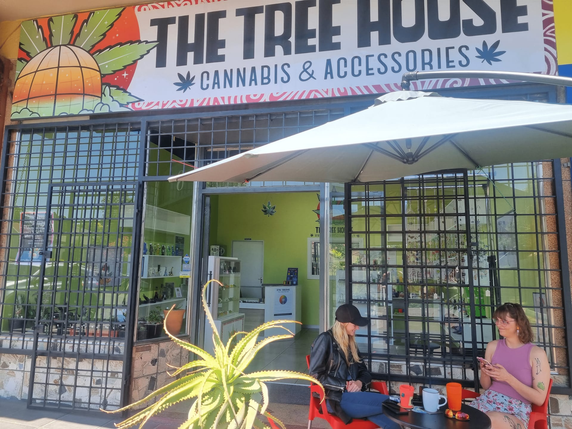 The Tree House