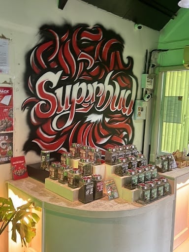Weed Shop Highrisk Saraphi