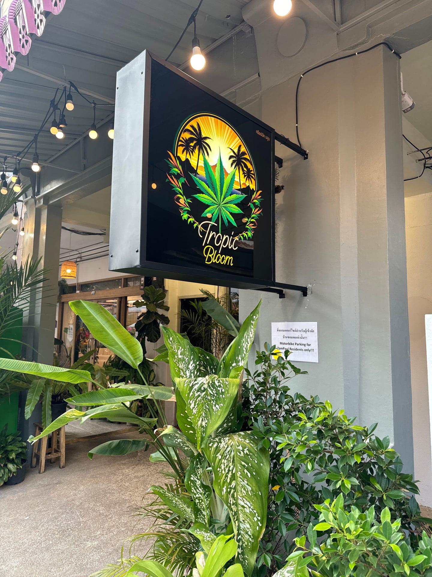 Tropic Bloom - Cannabis Weed Shop & Lounge