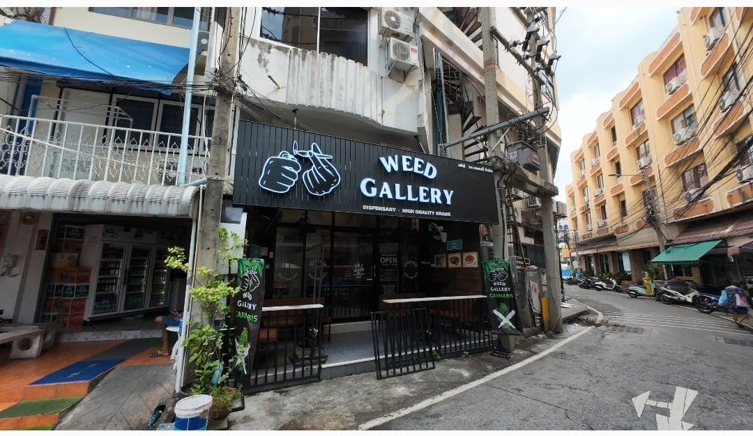 Weed Gallery Pattaya