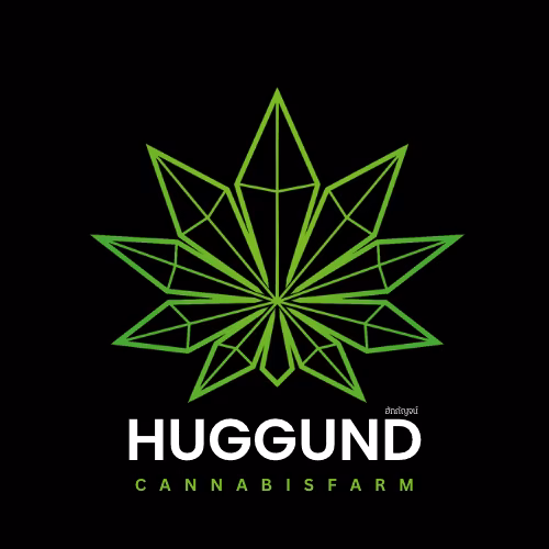 Cannabis Social Club Cannabis Dispensary By Huggund - Lomsak em Lom Sak logotipo