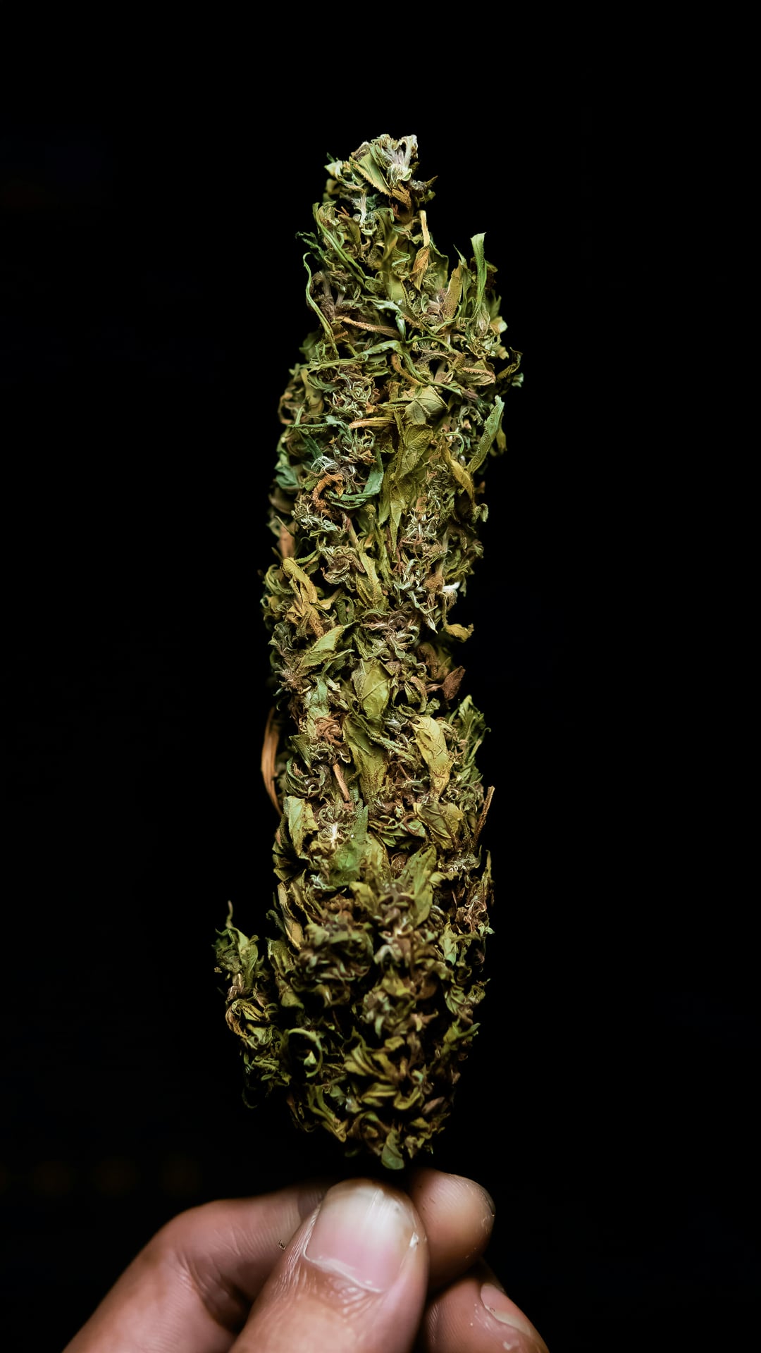 KushCPT