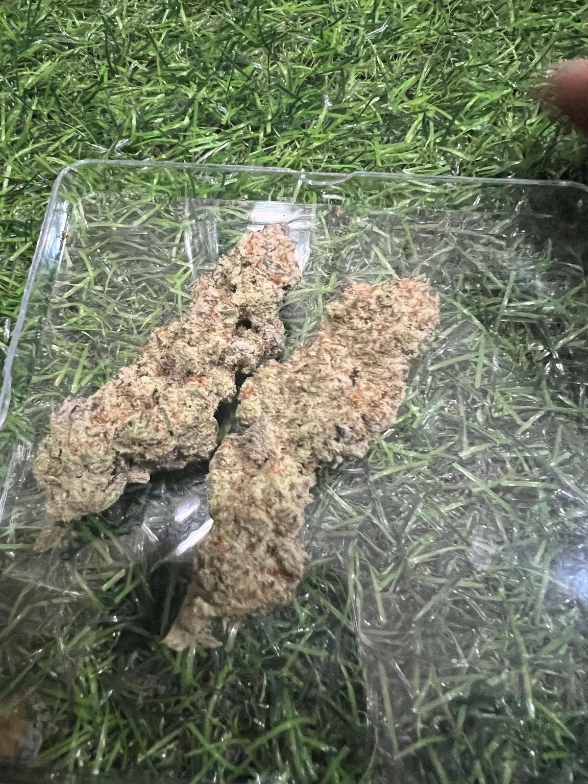 Smoked Cannabis