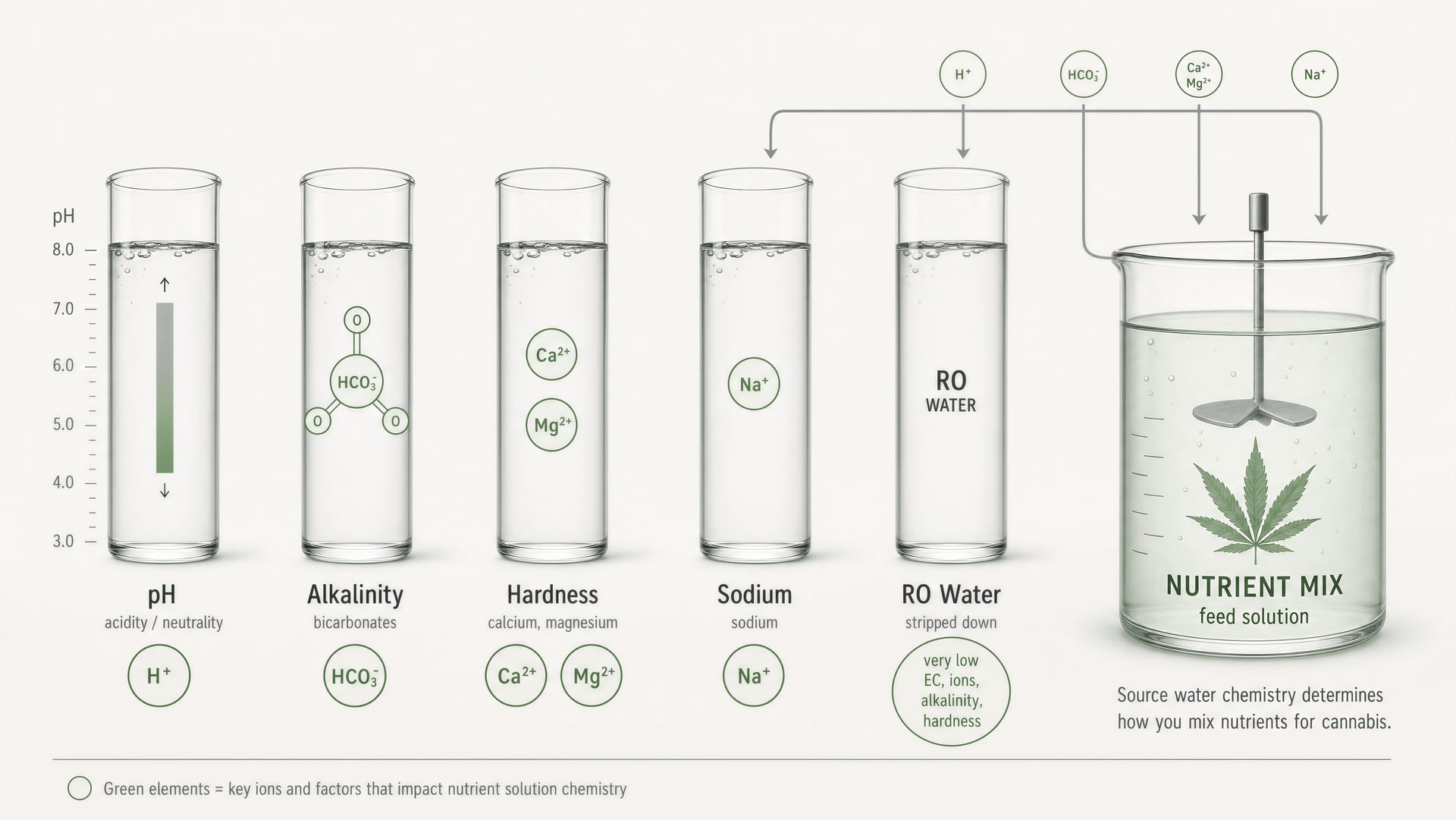 Illustration comparing pH, alkalinity, hardness, sodium, and RO water in a cannabis feeding setup.