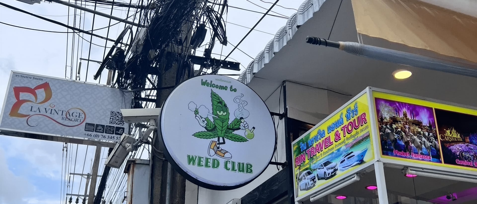 Weed Club Tiger hero
