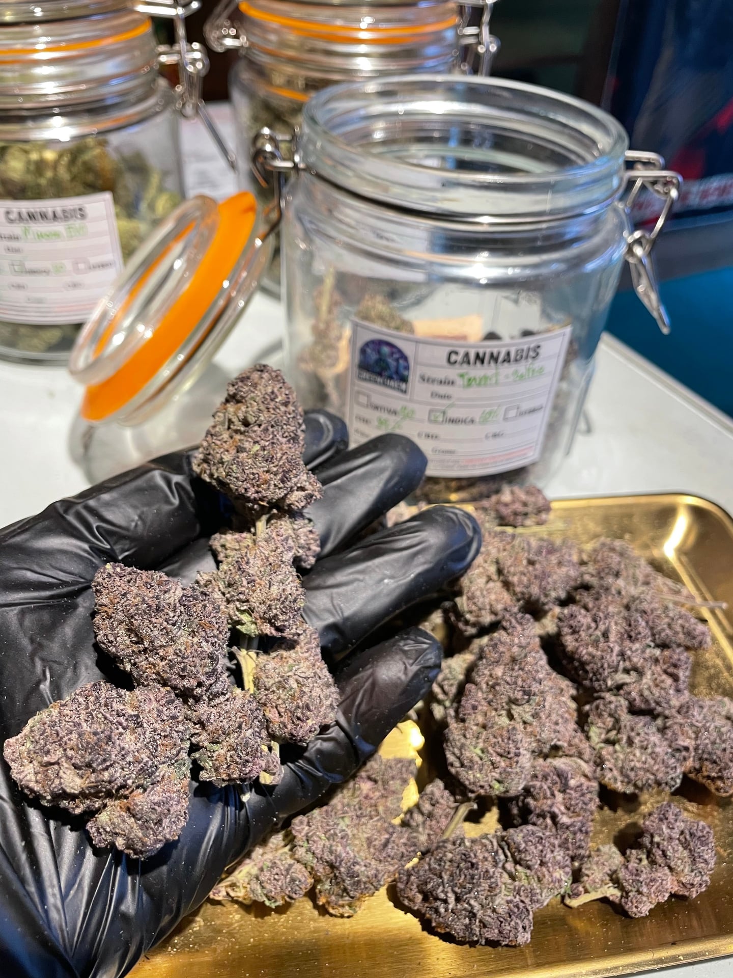 Green Chaem Bk Cannabis